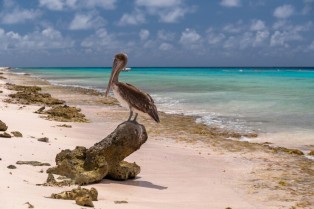 Day Trips from Tortola