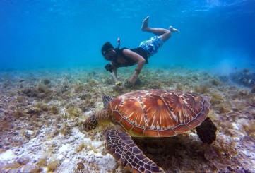 Sailing, Snorkeling, and Sunsets: The Best Things to Do in the British Virgin Islands with BVI Excursions